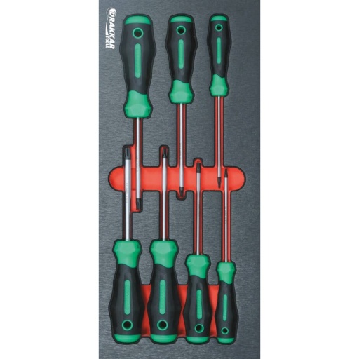 Module 7 tournevis Torx