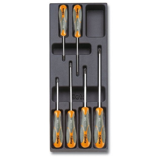 Module thermoformé tournevis cruciformes beta 6 pièces
