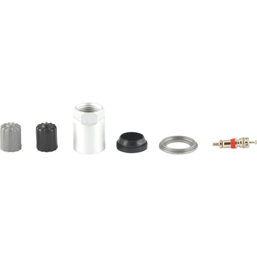 Coffret Master pour capteur RDKS /TPMS pour contrôle de la pression des pneus 19