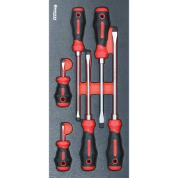 Module mousse 395x178mm métal tournevis plat 6 pcs
Composition :
Module plein composé de 6 outils :-
6 tournevis mécaniciens (5,5x150-6,5x150-8x150-10x200-4x38-5,5x38)
DIMENSIONS
395x178x32mm
